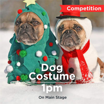 Sleigh the Games - Dog Costume