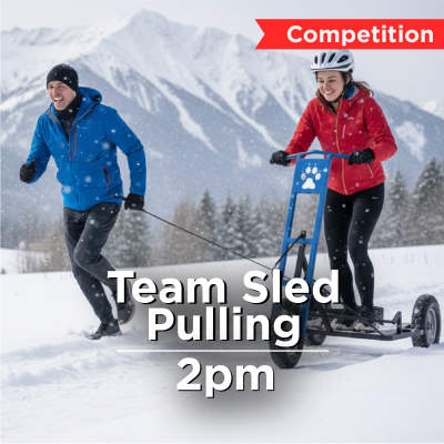 team-sled-pulling