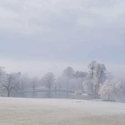 Winter at Petworth Park