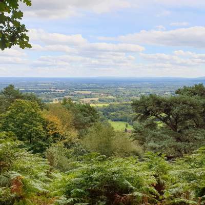 View from Black Down