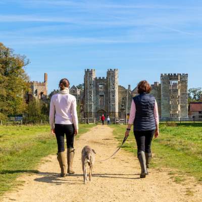 Cowdray Ruins