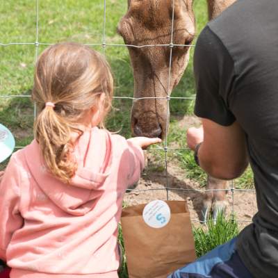Children feeding deer at Sky Park Farm