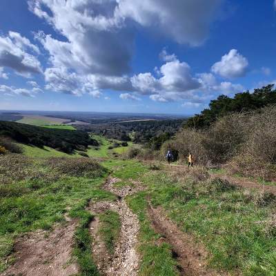 a view of countryside from Kingley Vale
