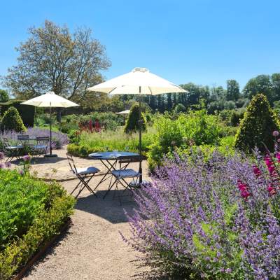 Afternoon tea in The Walled Garden, Cowdray Estate