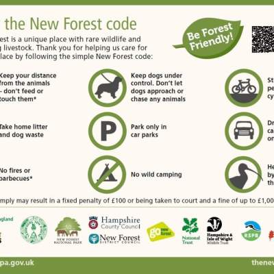 Follow the New Forest Code