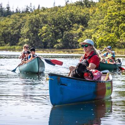 Dog in canoe with New Forest Activities