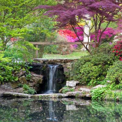 Exbury Gardens waterfall and pond in the New Forest
