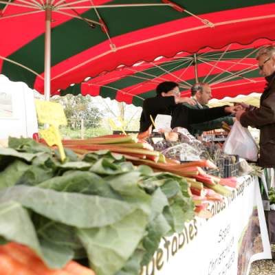 Where to buy local produce collection