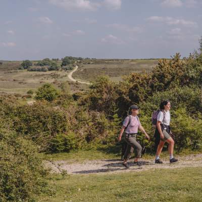Two people walking uphill in the New Forest