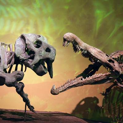 The Albuquerque Museum of Natural History features dinosaur skeletons like these two happy guys.