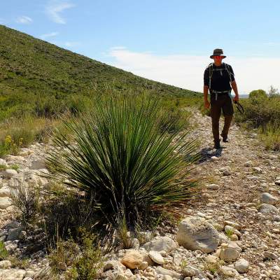 Give These Desert Hikes a Try