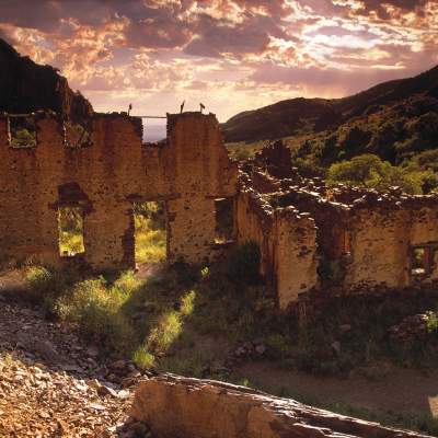 Lost Oasis in the Organ Mountains