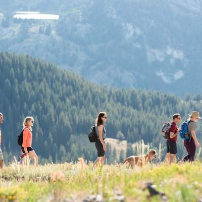 group of hikers with a dog from a distance