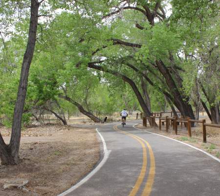 Bosque Cycling