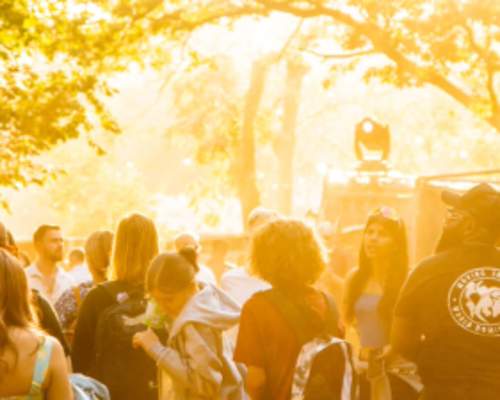 Mostly Jazz, Funk and Soul Festival