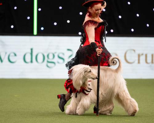 Crufts