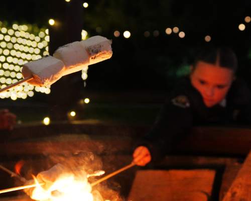 Two little girls roasting marshmallows over a fire pit. In the foreground is a stick with three roasted marshmallows. Blurred in the background are the two children. In the distance in bokeh and twinkling lights.