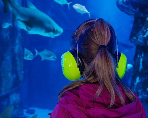 SEA LIFE Neurodiversity