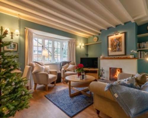 Dog-friendly Christmas