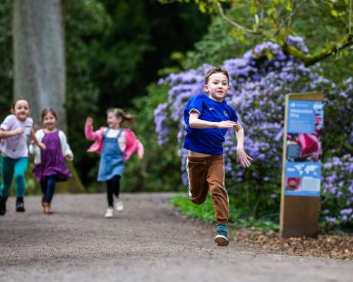 Westonbirt this Spring