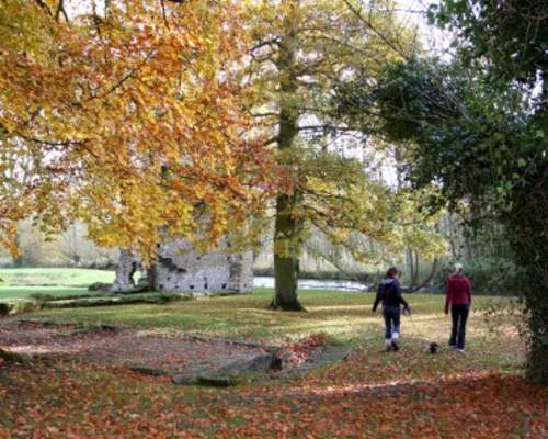 Dog-friendly Autumn Breaks