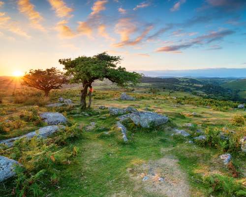dartmoor blog