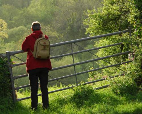 walking