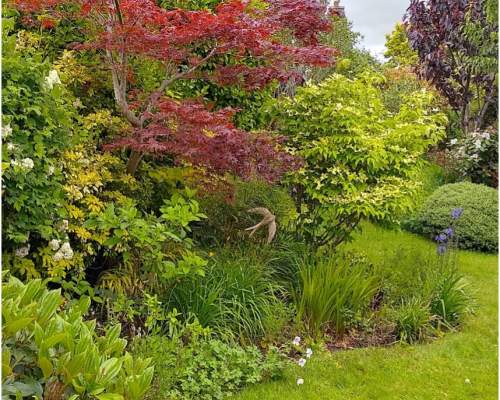 21 primley road sidmouth open gardens