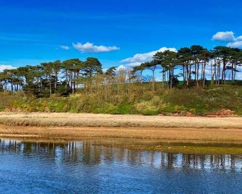 Things to do in Budleigh Salterton this half term
