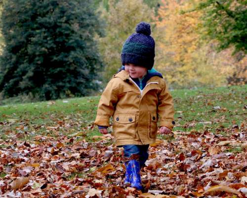 What’s On October Half term & Halloween in Devon!
