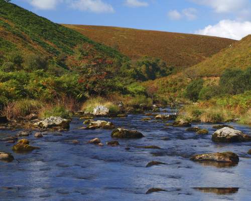 North Devon in Every Season: What to See and Do Year-Round