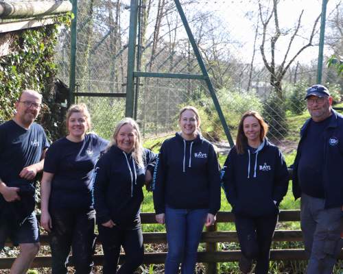 Bays Brewery Hits £30,000 Milestone for Animal Conservation