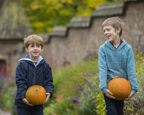 Escape into autumn: Events in Devon from September to mid-November