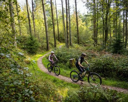 Haldon Forest Park celebrates 20 years of improving access to the nation's forests