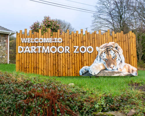 Dartmoor Zoo has the best year ever!