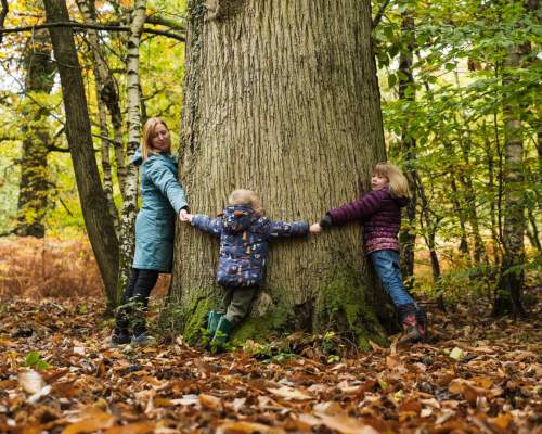 Family Frights and Autumn Delights Across Devon This Halloween