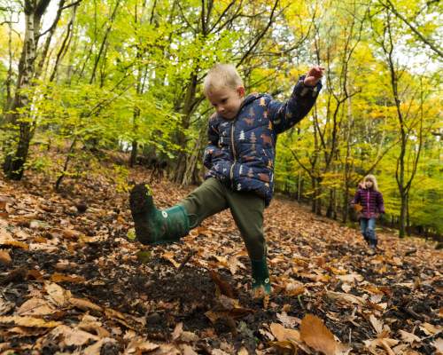 Half term fun at Haldon Forest Park without breaking the bank!