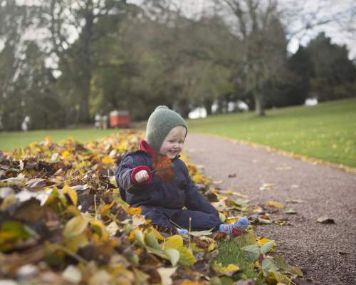 Little boy sat in the leaves at Killerton