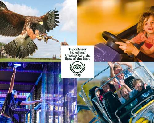 North Devon Family Attraction Wins Tripadvisor’s Coveted Best of the Best Award for the 10th Year in a Row!