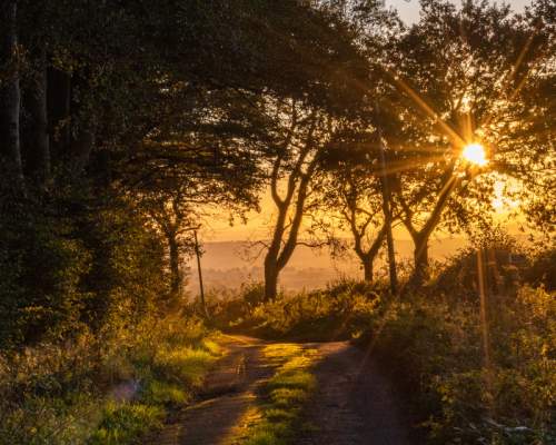 Visit Honiton nestled in nature