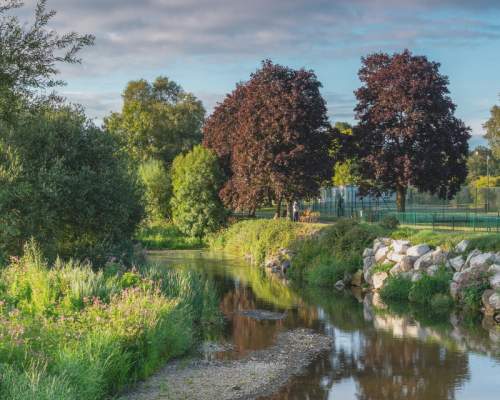Visit Ottery St Mary where everyone's welcome