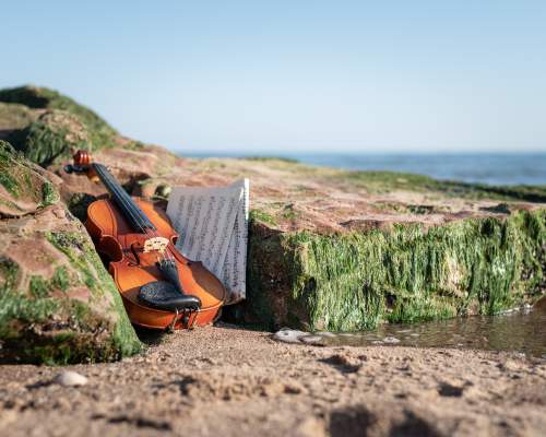 A wave of entertainment will break over North Devon this summer!