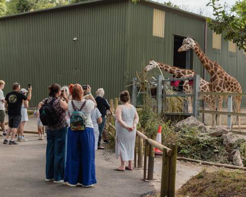Next Chapter At Paignton Zoo