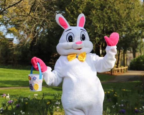 Easter Bunny at Paignton Zoo