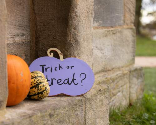 October half term with the National Trust across Devon
