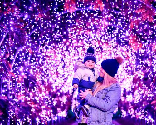 Over 25 Magical Christmas Days Out in Devon for Festive Fun!