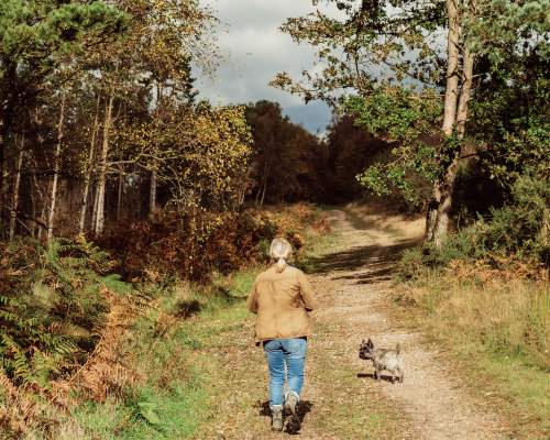 Walking