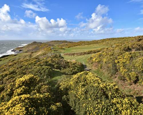 Morte Point - North Devon's Hidden Gem