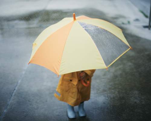 What to do on a rainy day in Devon