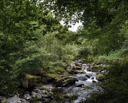 Explore Exmoor
